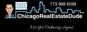 chicago real estate dude